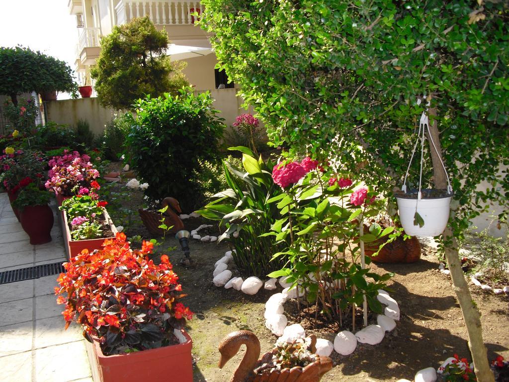 Paralía Hotel Dioni المظهر الخارجي الصورة