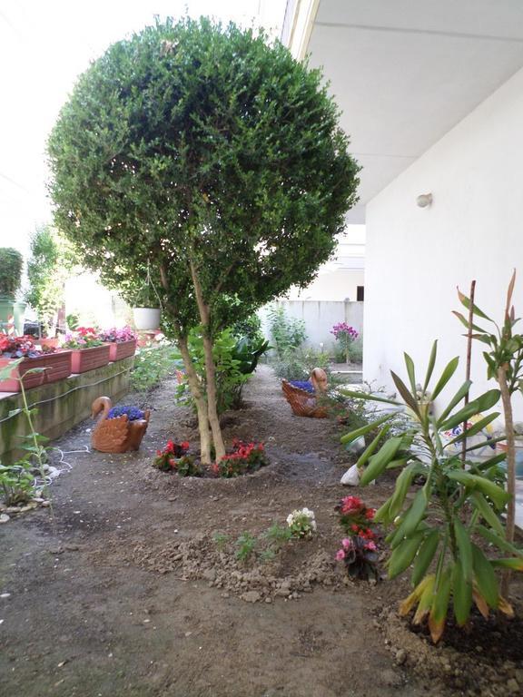 Paralía Hotel Dioni المظهر الخارجي الصورة