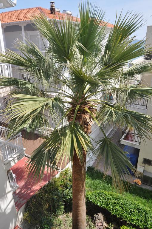 Paralía Hotel Dioni المظهر الخارجي الصورة